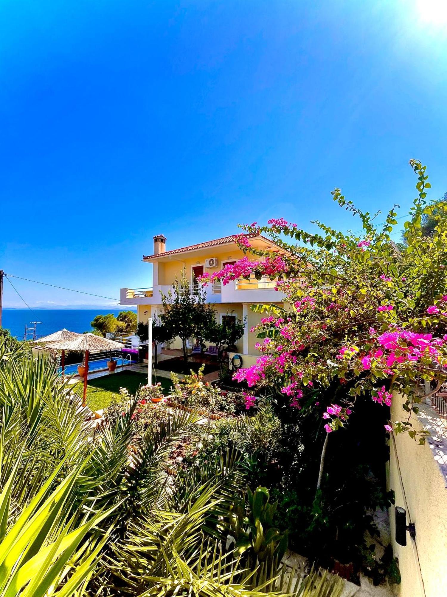 Odysseas Art Villa Poros  Bagian luar foto